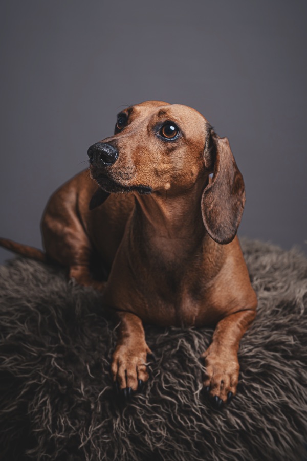 Debbie